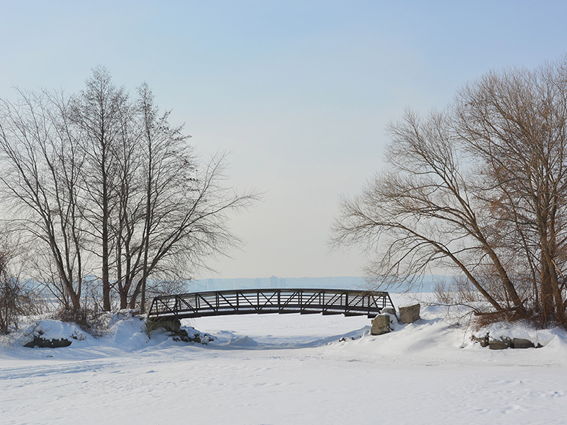 A winter scene in Burlington